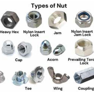 Types Of Nuts